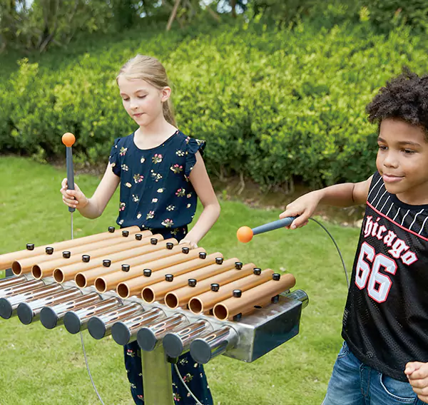 ਕਸਟਮ ਥੀਮ